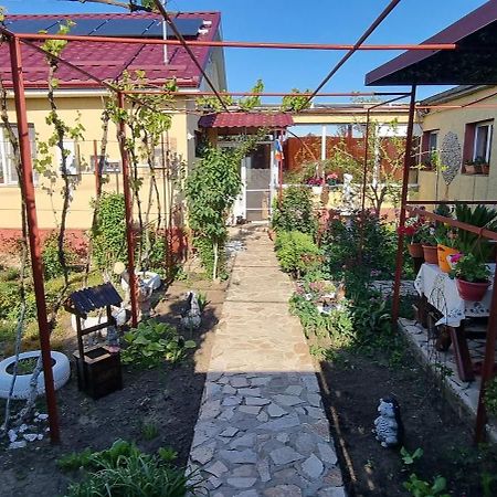 Casa Stefan Hotel Douăzeci şi Trei August Kültér fotó